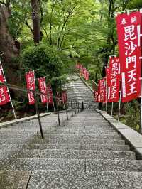 A Gentle Day in Yamashina – Temples, Trails & Tea
