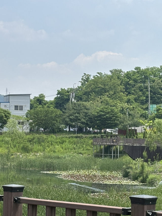 남부생태공원 가보자!