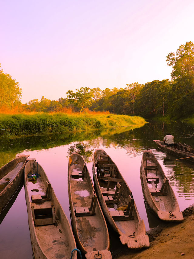 Premium accommodation in Chitwan 