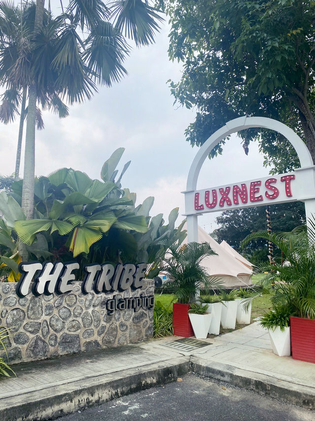 Tribe Vibes & Tent Retreats: A Staycation at Amigo Clubhouse