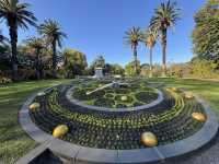 3 Highlights of Melbourne - Relaxing , healing , artistic vibes 