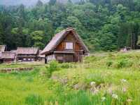 五月的白川鄉如同一幅生機勃勃的畫卷 🌿🏞️