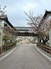 A Slow Day in Imabari – Castles, Shrines & Seaside Calm