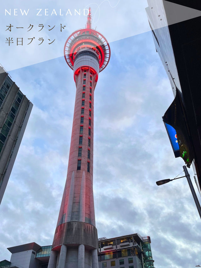 【NZ】✈️オークランド到着日の半日プラン🇳🇿