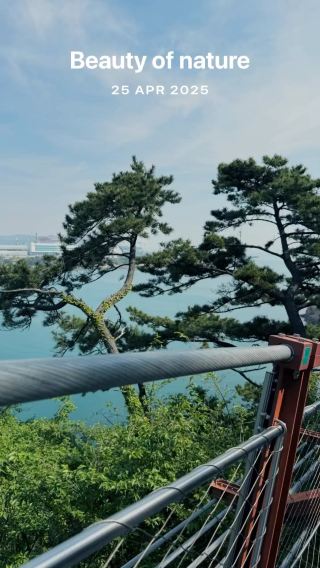Nature & Scenery of Daewangam Park’s