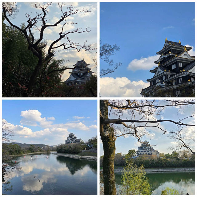 岡山城に行ってきました‼️