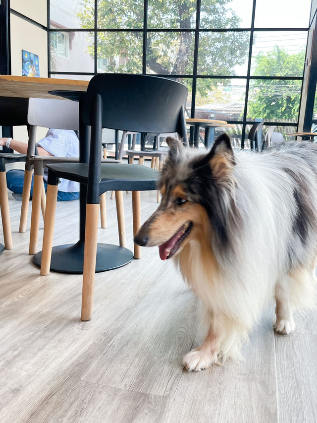 คาเฟ่น้องหมา พัทยา ฟินมากกก! 🐶