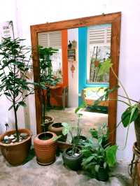 ART NATURE GALLERY CAFE, Alor Setar, Malaysia