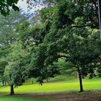 🌿✨ KL’s Green Paradise — Perdana Botanical Gardens