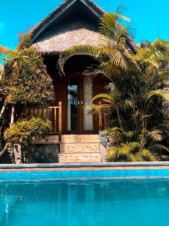 Nusa Penida in 2 Days : Paradise or Pain?