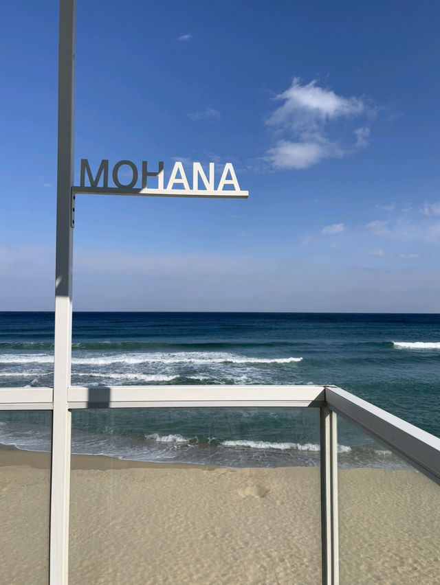 ⛵️🐚양양 잔교리 해변 모하나 카페