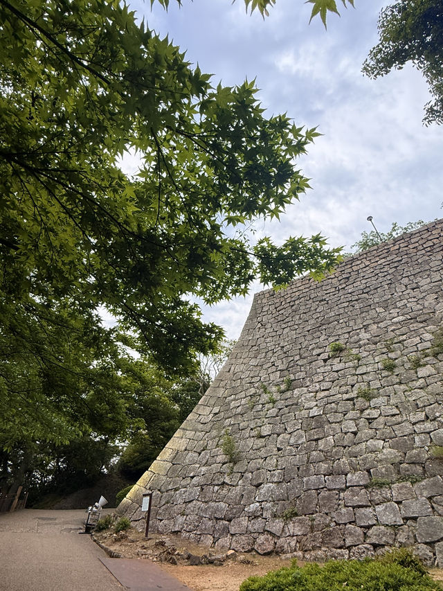 香川｜四百年丸龜城遺跡 最小的天守與日本最高的石垣
