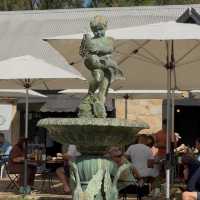 Hunter Valley 2-Day Trip from Sydney 🍷🐑