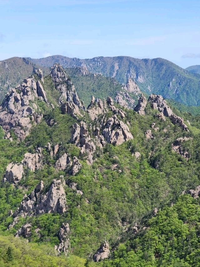 Survived Seoraksan’s Dinosaur Ridge