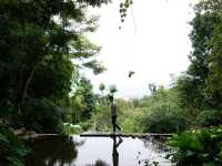 วัดผาลาด วัดสงบระหว่างทางขึ้นดอยสุเทพ