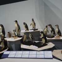名古屋市科学館の特別展