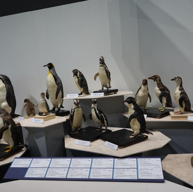 名古屋市科学館の特別展