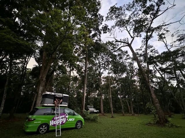 Cape Tribulation – QLD