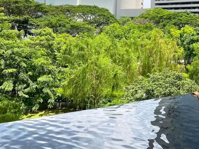 🌟 Urban Chic Meets Thai Warmth: Kimpton Maa-Lai Bangkok  🇹🇭🐾