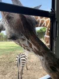 北碧府野生動物園