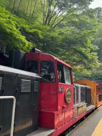 🚂 รถไฟโรแมนติกเกียวโต – นั่งรถช้าๆให้หัวใจได้พัก