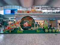 Guangzhou Baiyun International Airport