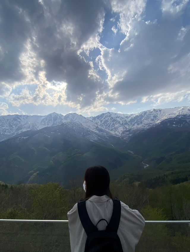 🎿 白馬岩岳スノーフィールド  360度の絶景 × 多彩なコース × 絶景テラスも☕️✨