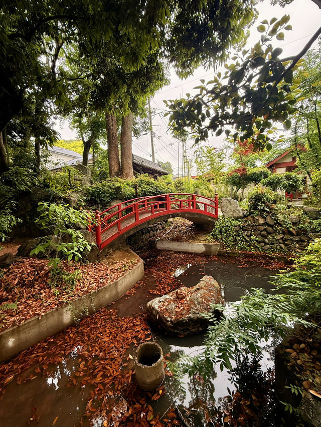 松山｜四國遍路最靈驗的石手寺 神秘智慧之輪、能量石傳說