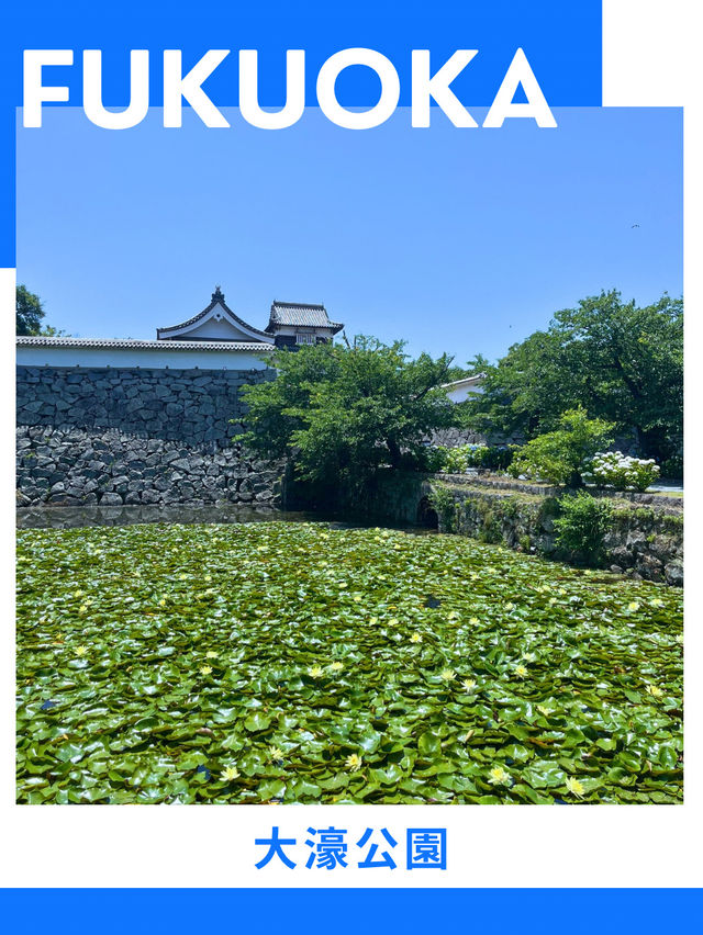 【福岡】半日モデルコース✈️