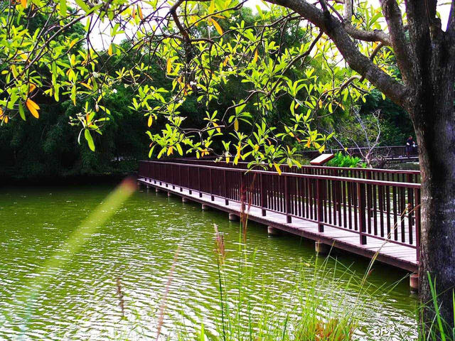 自然と植物の美しさを感じる、スリナーク・クアンカン植物園へ！🌿🌸