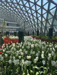 cafe Amazon 4255FLORA EXHIBITION HALL 