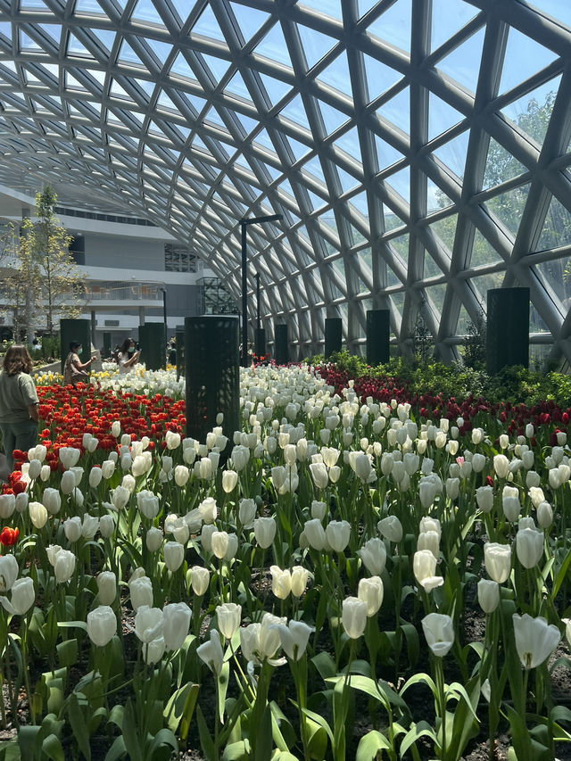 cafe Amazon 4255FLORA EXHIBITION HALL 