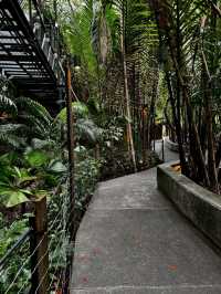 Cafe'ลับบางกระเจ้า
