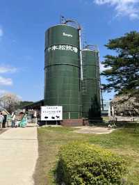 日本親子遊🇯🇵東京近郊，放羊體驗，千本松牧場🐴🐰🐄🐃🐑
