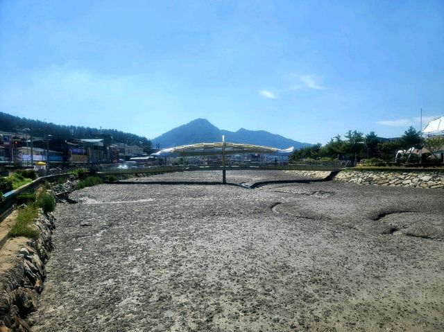 백수해안도로 (전라남도 영광군 바다여행)