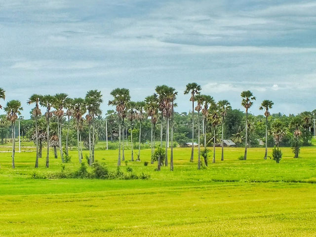 窓の外に広がるペッチャブリーの田園風景が美しすぎた。🌴☀️