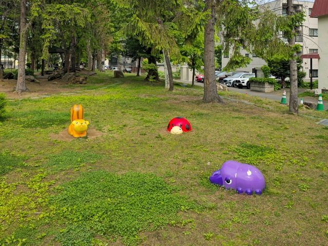 해외여행 일본 삿포로 여행 중 들린 Midorigaoka Park
