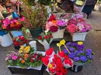 Dolac Market Zagreb