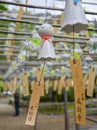 【京都/宇治】風鈴飾りが話題のお寺、正寿院🎐 