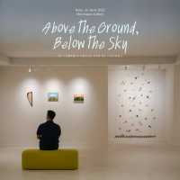 Above the Ground, Below the Sky 🌠🌌