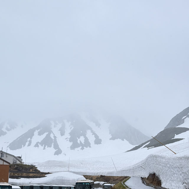 หิมะครั้งแรกของฉัน ณ กำแพงหิมะ Murodo Snow Wall 