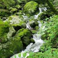 Hike with Peaceful Vibes