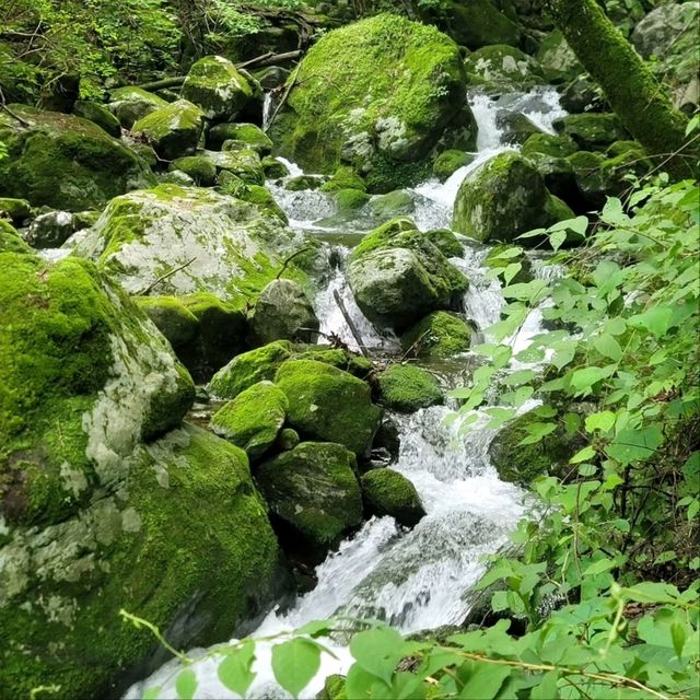 Hike with Peaceful Vibes