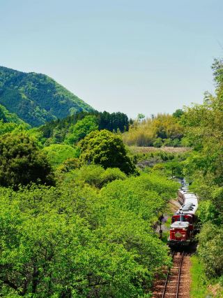 [Watarase Valley Railway] A trolley train ride through the valley and a nostalgic journey through the four seasons