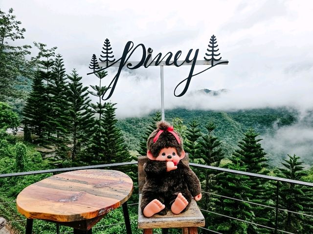The Piney Bistro Cafe เขาค้อ 🍃☘️💚