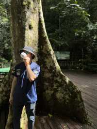 【Mulu Adventure：走进砂拉越的奇幻之境】 🌏⛰️🦇🌿