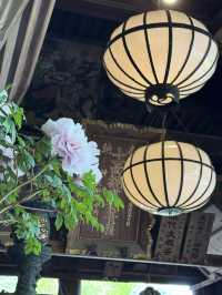 🏯【奈良・長谷寺】四季と心を映す、花と祈りの聖地