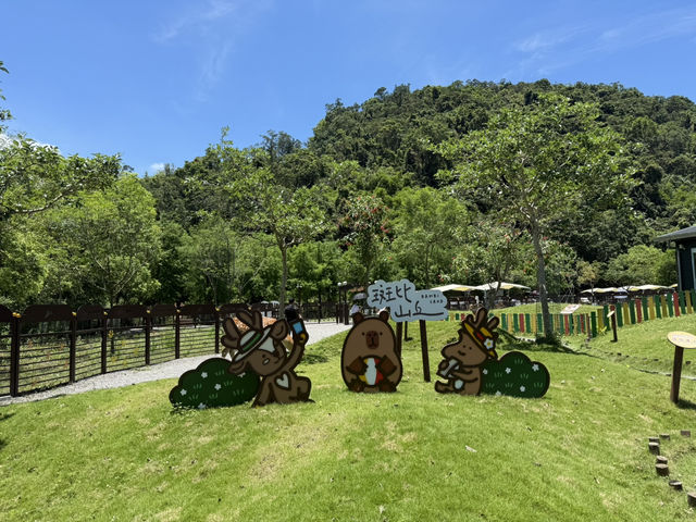 斑比山丘餵食小動物🦌