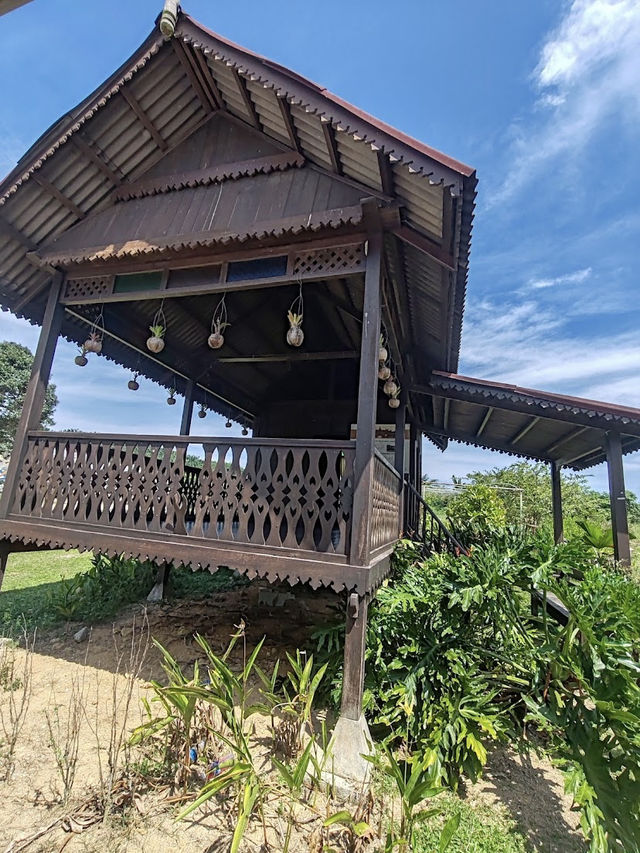 Sky Ladder Pineapple Farm, A Sweet Slice of Agro-Tourism in Port Dickson
