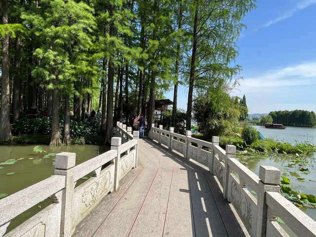 🌿 Yuantouzhu 鼋头渚 — A Peaceful Summer Escape by Taihu Lake